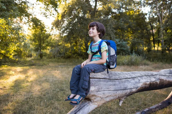 Sırt Çantalı Bir Çocuk Devrilmiş Bir Ağacın Gövdesinde Oturur Bir — Stok fotoğraf