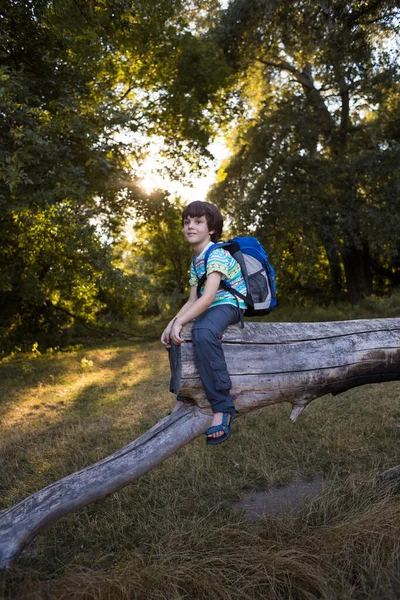 Niño Con Una Mochila Sienta Tronco Árbol Caído Niño Camina — Foto de Stock