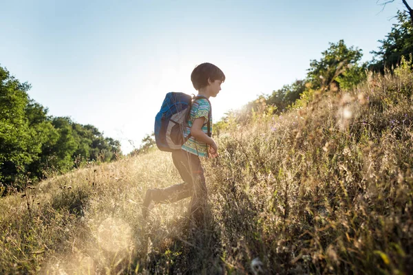 Chłopiec Plecakiem Spaceruje Łące Dziecko Odkrywa Dziką Przyrodę Dziecko Stoi — Zdjęcie stockowe