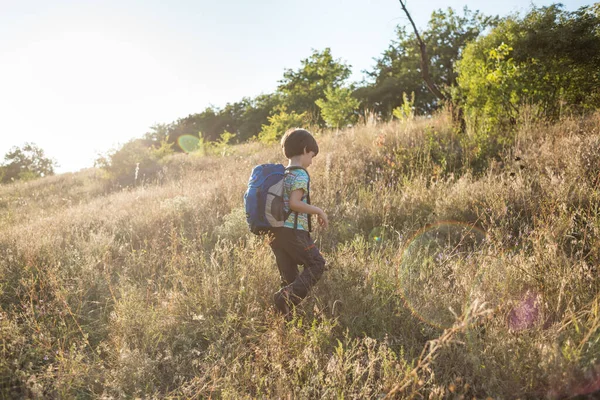 Ein Junge Mit Rucksack Geht Über Die Wiese Ein Kind — Stockfoto