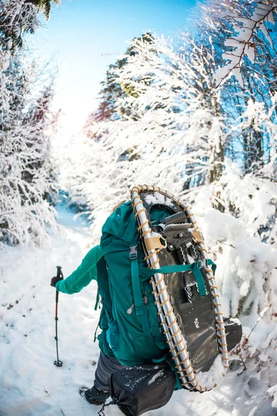 Femme Avec Sac Dos Raquettes Dans Les Montagnes Hiver Voyage — Photo