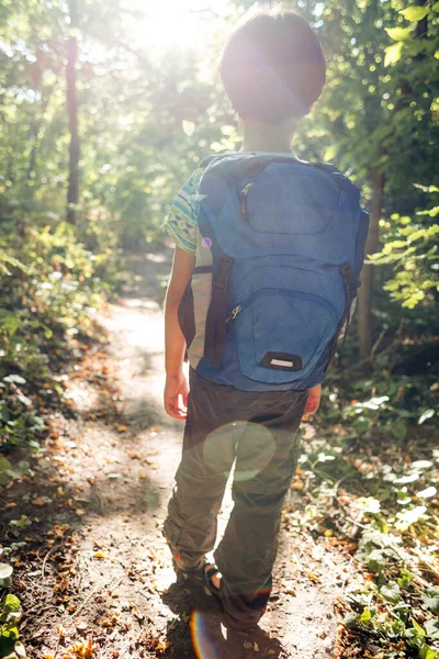 Garçon Avec Sac Dos Marche Dans Forêt Enfant Explore Faune — Photo