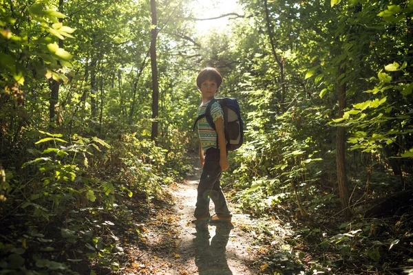 Niño Con Una Mochila Camina Por Bosque Niño Explora Vida —  Fotos de Stock