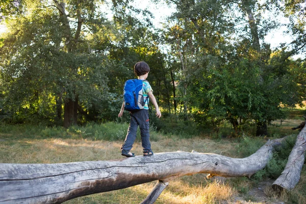 Niño Con Una Mochila Camina Largo Del Tronco Árbol Caído — Foto de Stock