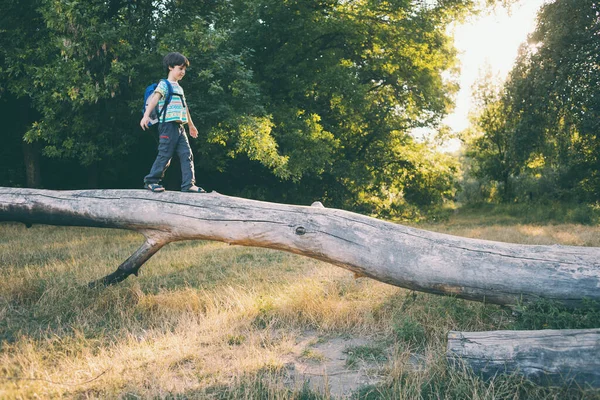 木の幹をバックパックで歩く男の子 子供は森を歩く 子供は自然を探索している 男の子はバランスを保つことを学ぶ — ストック写真