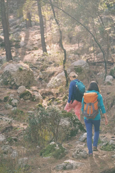 Δύο Κορίτσια Περπατούν Στο Δάσος Πεζοπορία Στα Βουνά Φίλες Περνάνε — Φωτογραφία Αρχείου