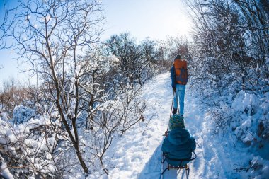 Bir kadın bir çocukla kızak çekiyor. Anne oğluyla karlı bir ormanda yürüyor. Parkta kış yürüyüşü. Oğlan bir kızağa biniyor. Çocuklarla kış aktiviteleri.