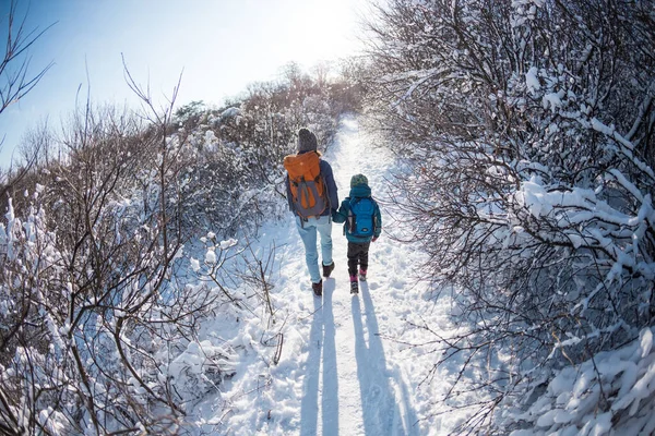 Donna Con Bambino Escursione Invernale Montagna Ragazzo Viaggia Con Madre — Foto Stock