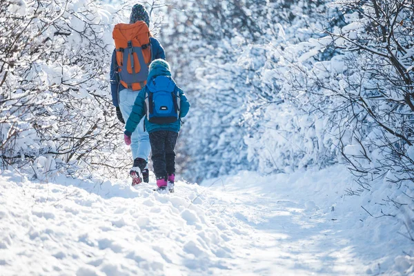 一个带着孩子的女人正在山上进行冬季远足 这个男孩在寒冷的季节和妈妈一起旅行 一个背着背包的孩子和妈妈在雪地的公园里散步 和孩子们一起远行冬季旅行 — 图库照片