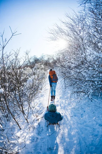 一个女人拉着一个带着孩子的雪橇 母亲和她的儿子在雪地的森林里散步 冬天在公园里散步 那男孩骑在雪橇上 与儿童的冬季活动 — 图库照片