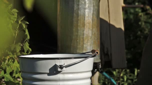 Медленное Движение Снимка Мужчины Выливающегося Ведро Свежевыжатой Воды Колодца Сельской — стоковое видео