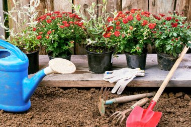 Bahçe çiçek dikim ve Bahçe Araçları