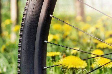 Bisiklet Tekerleği yakın duran yukarı çayır çiçek açması dandelions dolu ve ışıklı güneş ışınları tarafından üzerinde.