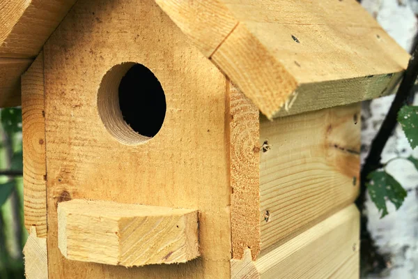 Hölzernes Handgefertigtes Vogelhaus Das Sommer Einer Birke Wald Hängt — Stockfoto