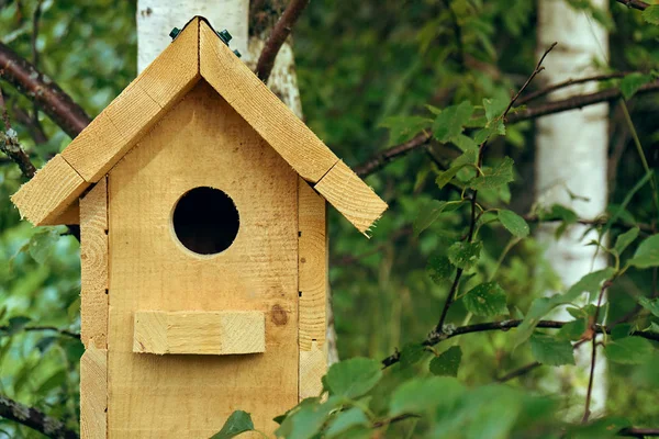 Handgefertigtes Vogelhaus Aus Holz Das Sommer Einer Birke Wald Hängt — Stockfoto