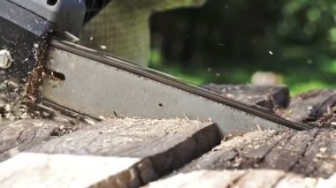 Testere ahşap Komiteler Chainsaw açık havada kullanarak kapatın. Ağır çekim