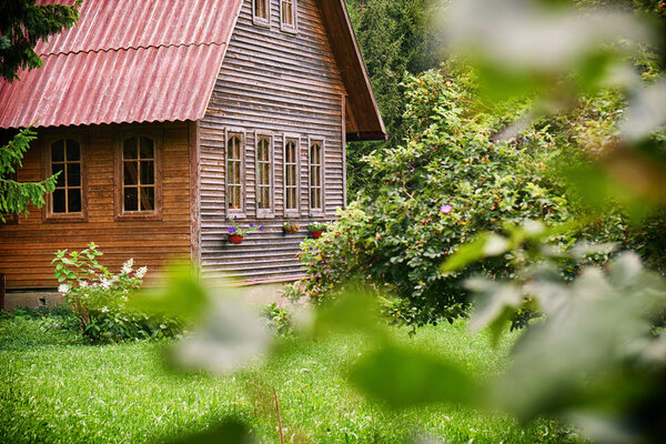 Suburban wooden house with a red roof in the green garden at russian countryside in summer