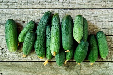 Salatalık taze ahşap arka plan üzerinde bir sera aldı