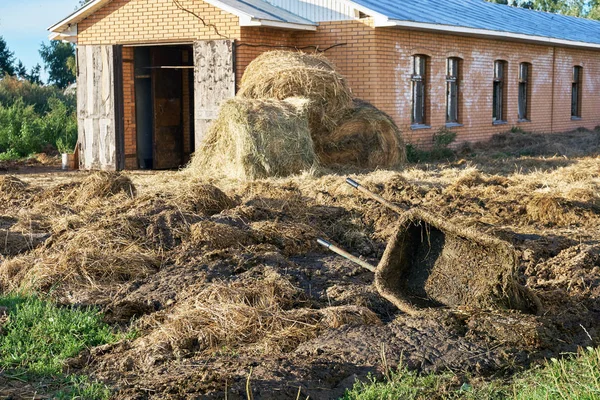 Espace Cowshed avec excréments d'animaux et chariot sale sur la ferme russe — Photo