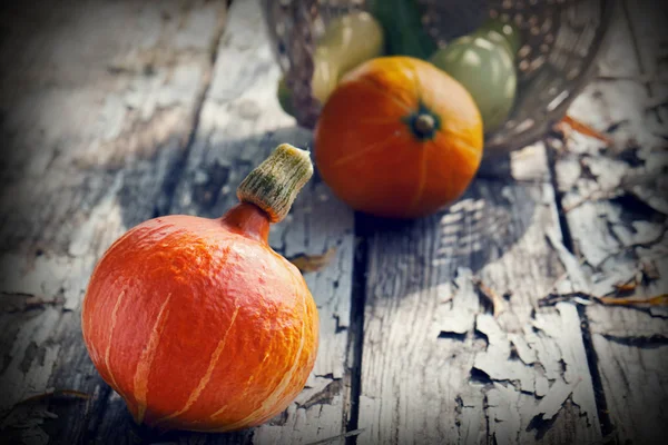 Kürbisse und Zucchinis auf den alten Holzbrettern mit abblätternder Farbe — Stockfoto