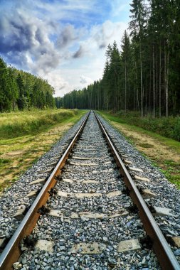 Orman ve Rusya'da bulutlu mavi gökyüzü ile yaz demiryolu görünümü