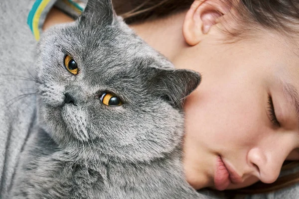 British shorthair tomcat lying with a sleeping teenager girl — Stock Photo, Image