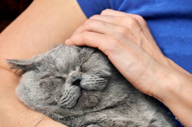 Onun metresi kollarında yalan ve okşayarak zevk Britanya ile ilgili stenografi tomcat