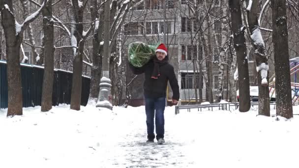 撮影赤いサンタ帽子を身に着けている老人ホームを運ぶ途中のモスクワのクリスマス マーケットで買ったグリッド パック クリスマス ツリー — ストック動画