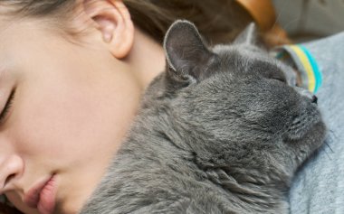 İngiliz kısa saç kedi bir genç kızla yatıyor
