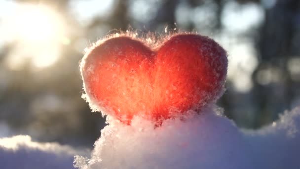 Красное Шерстяное Сердце Стоящее Снегу Подсвеченное Солнечными Лучами Открытом Воздухе — стоковое видео