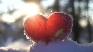 Karda duran ve güneş tarafından backlighted yün kırmızı kalp açık havada ağır çekim ışınları.