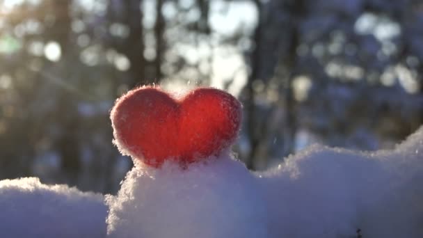 Câmera Aproximando Para Coração Brinquedo Vermelho Feito Neve Iluminado Por — Vídeo de Stock