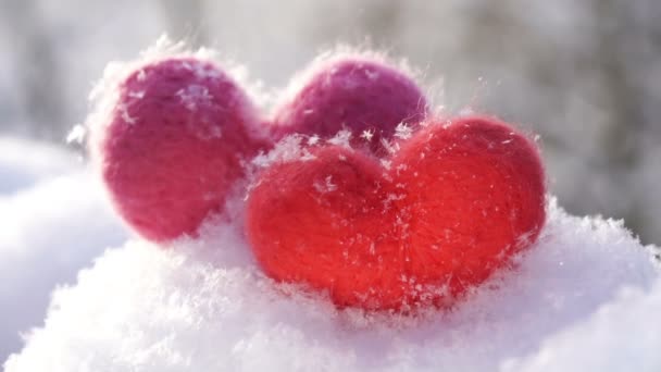 Rote Und Rosa Wolle Herzen Stehen Schnee Und Hinterleuchtet Von — Stockvideo