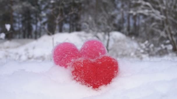 Vermelho e rosa corações de lã na neve branca na frente da floresta no inverno — Vídeo de Stock