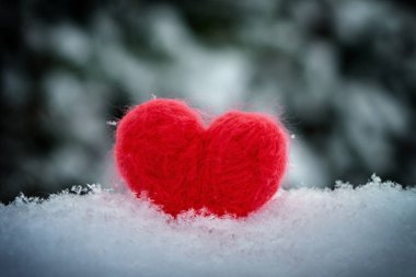 Red woolen toy heart standing on fluffy snow in cold winter with blurred pine branches covered with snow on the background . Valentine's day, healthcare concept.