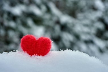 Red woolen toy heart standing on fluffy snow in cold winter with blurred pine branches covered with snow on the background . Valentine's day, healthcare concept.