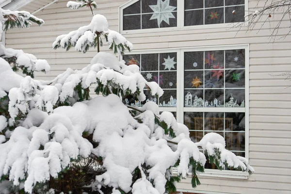 Cedar,pine or spruce tree covered with snow growing near a window decorated with paper applications of a country cottage in Christmas eve