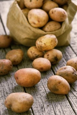 Bir çuvala kaba ahşap kurullarında ham patates