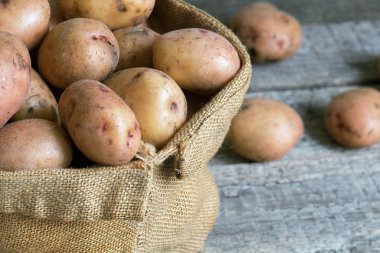 Ülke tablosunun kaba ahşap kurullarında ayakta kadar bir çuvala ham unpeeled patates kapatın