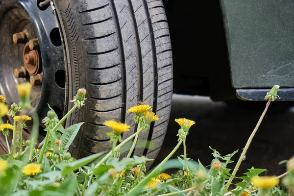 Car wheel standing on the green grass with yellow dandelians. Suitable for tire service and traveling. — Stock Photo, Image