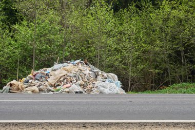 Rus kırsal yolunun yol kenarında yatan çöp yığını