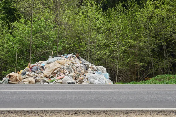 Rus kırsal yolunun yol kenarında yatan çöp yığını