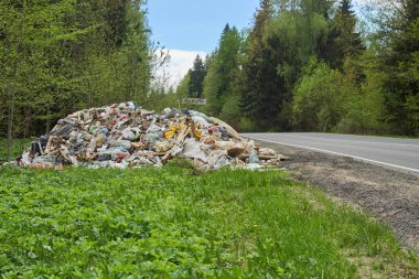 Rus kırsal yolunun yol kenarında yatan çöp yığını