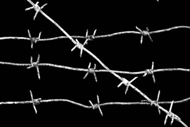 Siyah arkaplanda izole edilmiş beyaz dikenli teller.