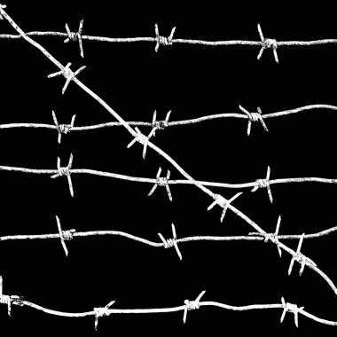 Siyah arkaplanda izole edilmiş beyaz dikenli teller.