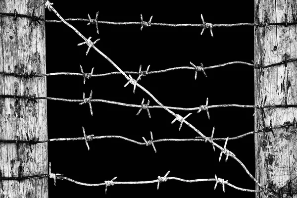 Curve barbed wire stretched between wooden fence posts isolated on black — Stock Photo, Image