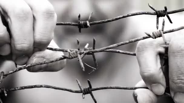 尖叫的人用手摇摇带刺的铁丝 要求释放 自由或移民的概念 分辨率黑白视频 — 图库视频影像