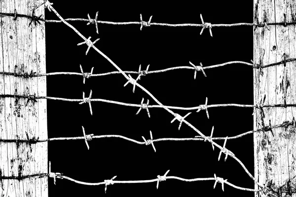 Barbed wire stretched between wooden fence posts isolated on black — Stock Photo, Image
