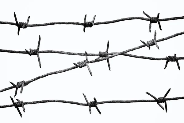 Barbed wires isolated on white background. Black and white photo. — Stock Photo, Image