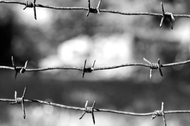 Bulanık arka planda bir kır evi ile ön planda dikenli teller.